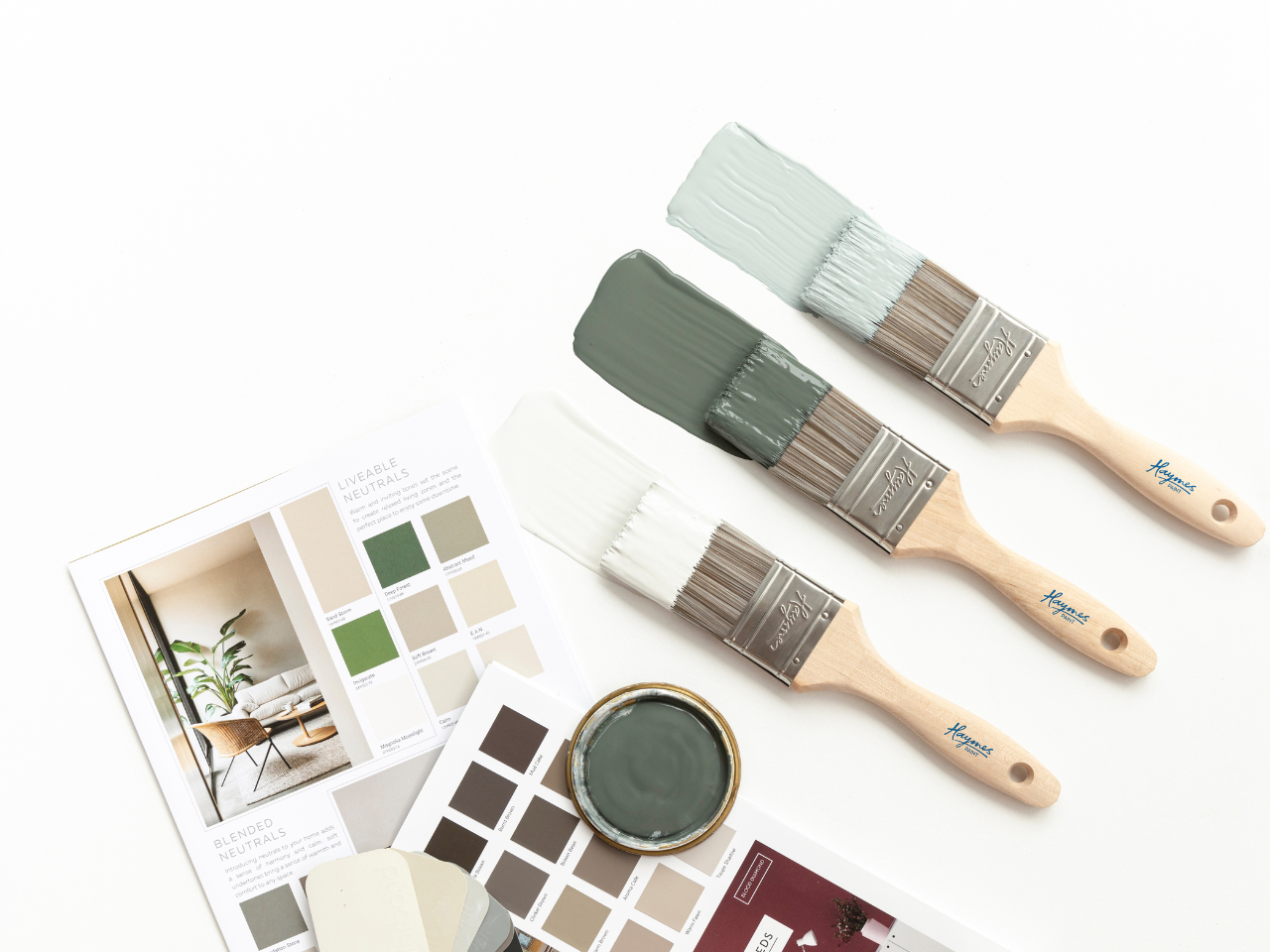 Haymes Paint colour swatches and brushes showcasing personalised colour consulting and 2025 Paint Trends at Network Render & Paint